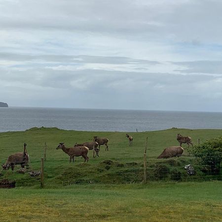 Coral Cabins Dunvegan  Rom bilde